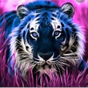 Meet your Posher, Leigh ann